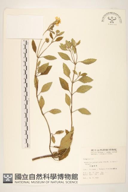 Accession Number:S002349 Collection Image, Figure 1, Total 2 Figures