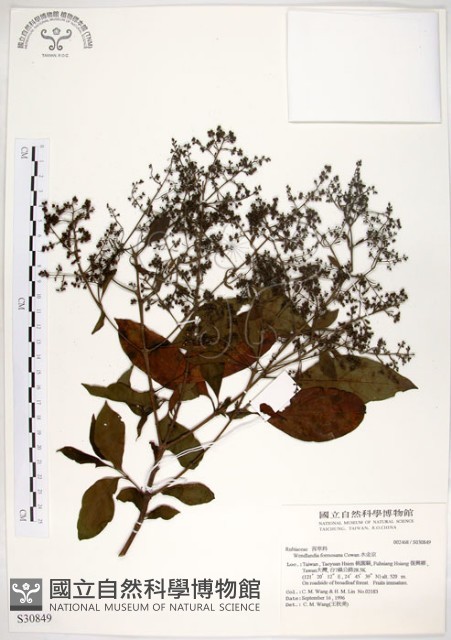 水金京藏品圖，第1張