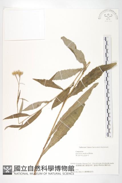 登錄號:S074549藏品圖，第1張