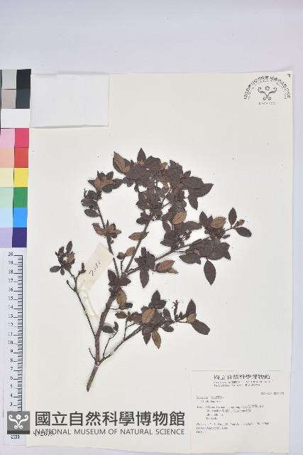 登錄號:S042679藏品圖，第1張