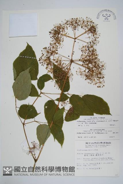 登錄號:S011679藏品圖，第1張