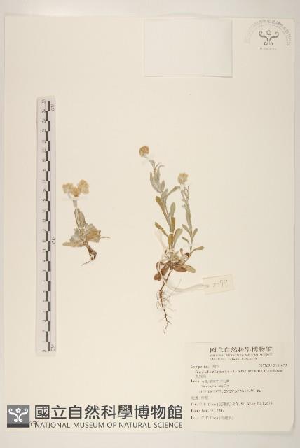 Accession Number:S131679 Collection Image, Figure 1, Total 2 Figures