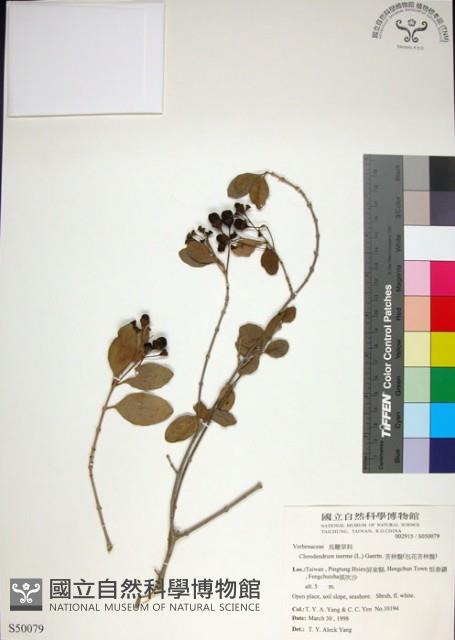 苦林盤藏品圖，第1張