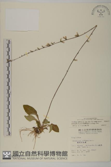 Accession Number:S003079 Collection Image, Figure 1, Total 2 Figures