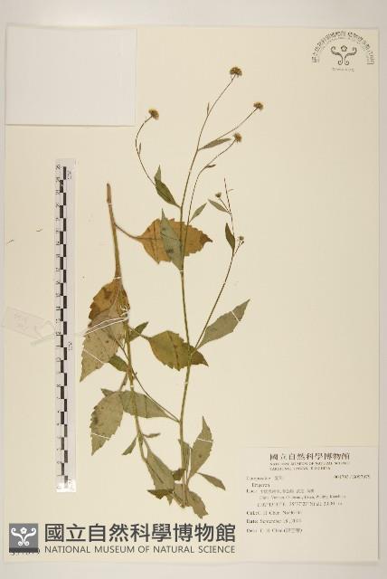 登錄號:S097079藏品圖，第1張