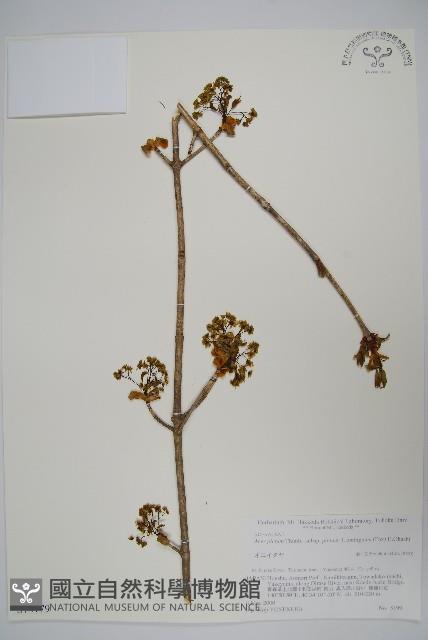 登錄號:S074779藏品圖，第1張