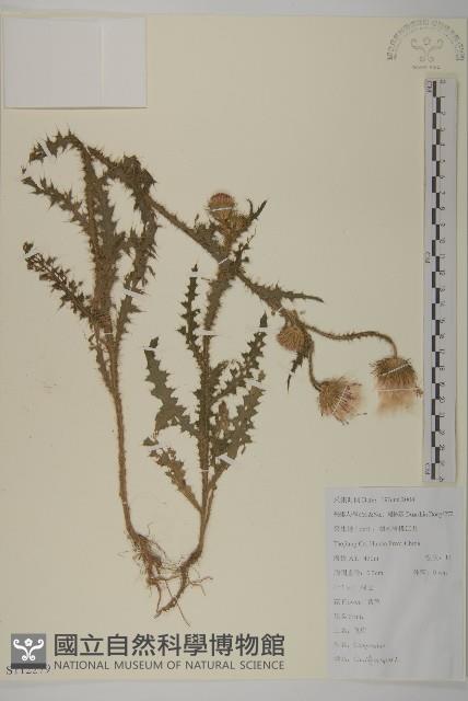 飛廉藏品圖，第1張