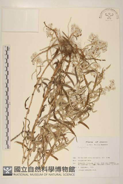 登錄號:S113479藏品圖，第1張