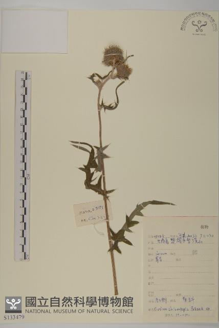 登錄號:S133479藏品圖，第1張