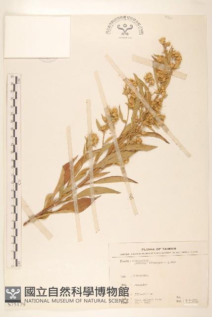 登錄號:S075179藏品圖，第1張