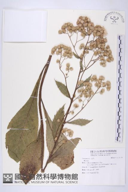 登錄號:S123179藏品圖，第1張