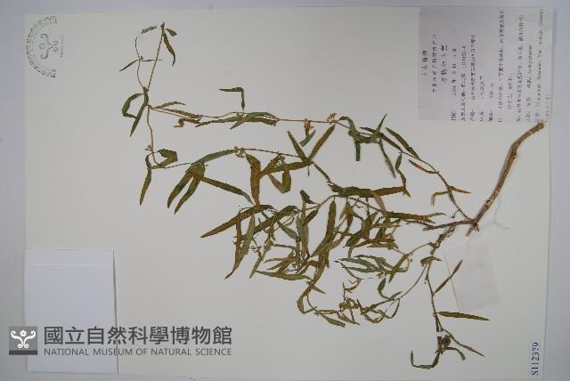 雀瓢藏品圖，第1張