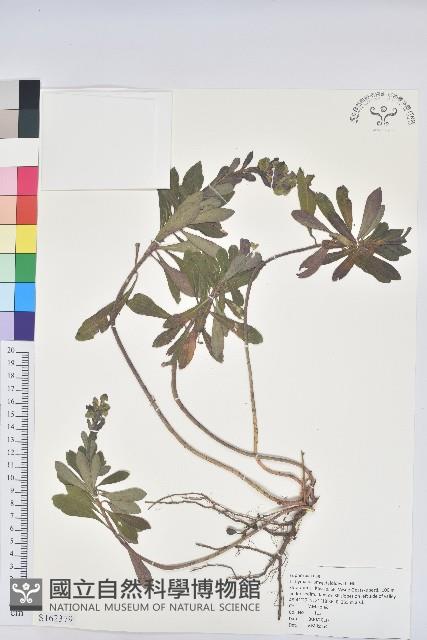 登錄號:S162379藏品圖，第1張