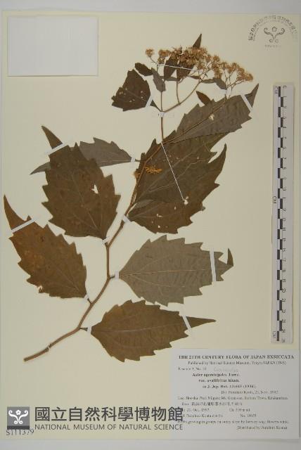 登錄號:S111379藏品圖，第1張