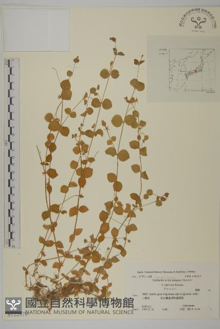 登錄號:S122979藏品圖，第1張