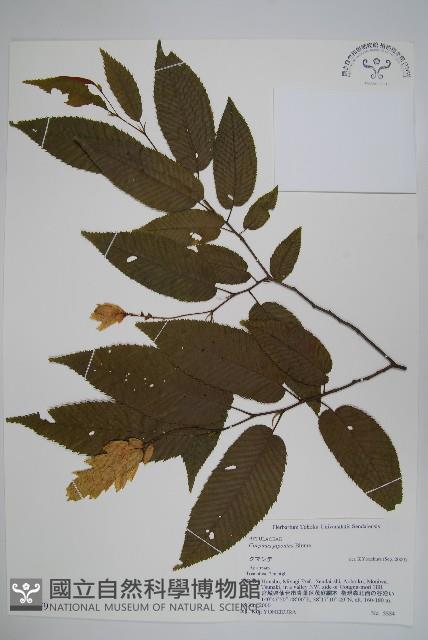 登錄號:S074579藏品圖，第1張