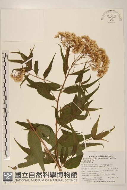 登錄號:S103579藏品圖，第1張