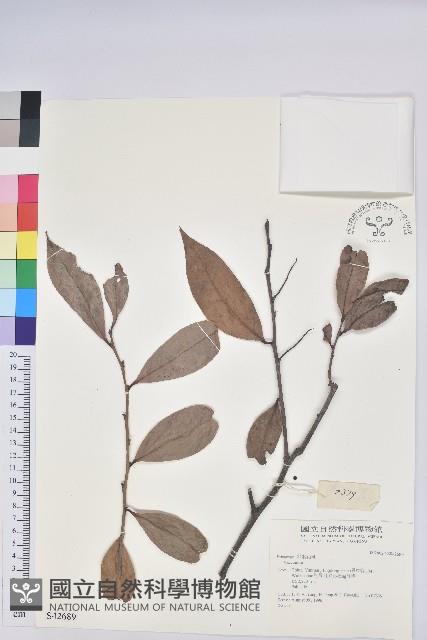 登錄號:S042689藏品圖，第1張