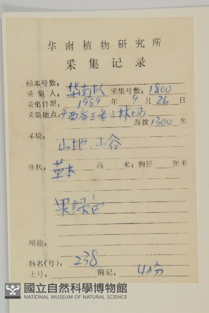小魚眼草藏品圖，第1張
