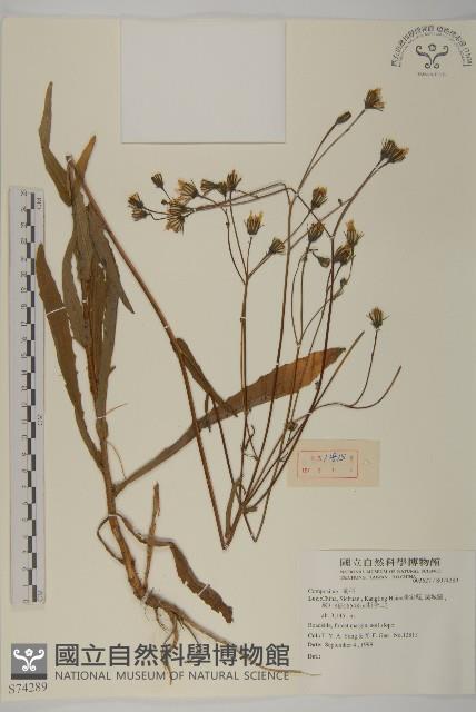 登錄號:S074289藏品圖，第1張