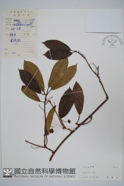 登錄號:S042489藏品圖，第1張