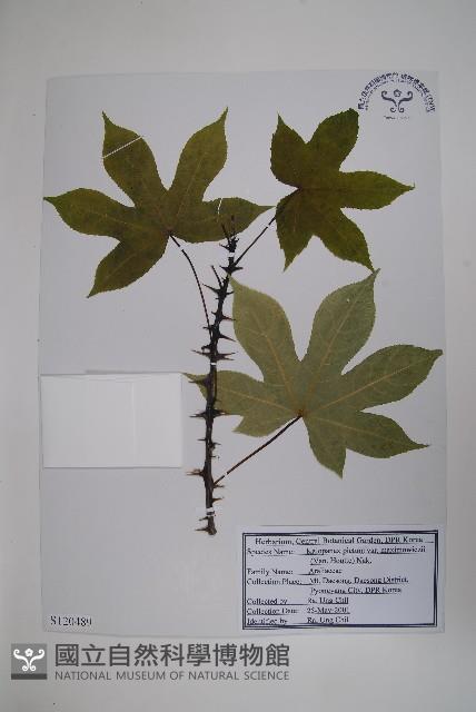 登錄號:S120489藏品圖，第1張