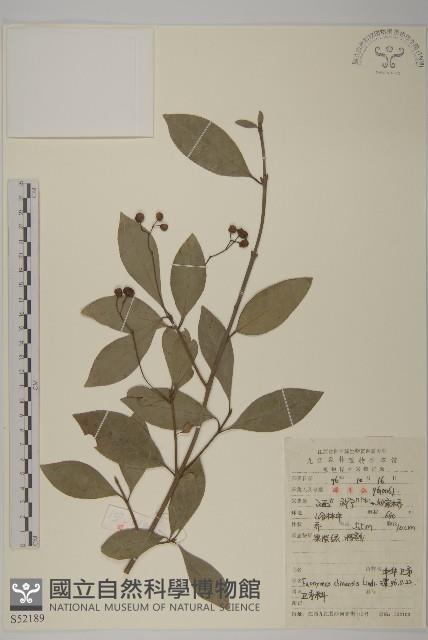 Accession Number:S052189 Collection Image, Figure 1, Total 2 Figures