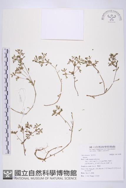 登錄號:S113628藏品圖，第1張