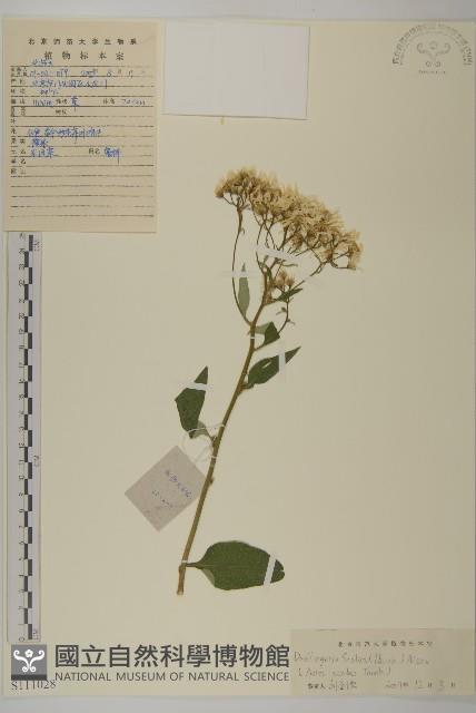 登錄號:S111028藏品圖，第1張