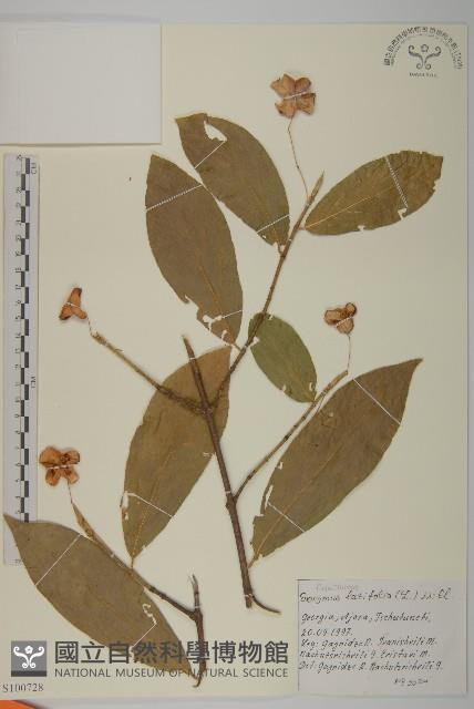登錄號:S100728藏品圖，第1張