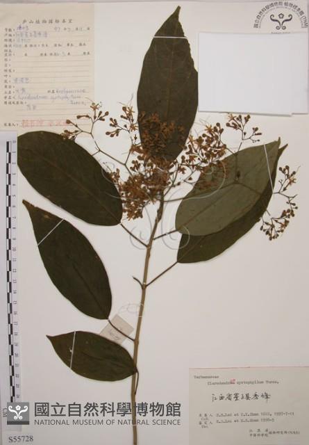 大青藏品圖，第1張