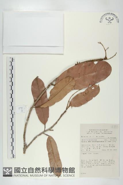 登錄號:S055228藏品圖，第1張