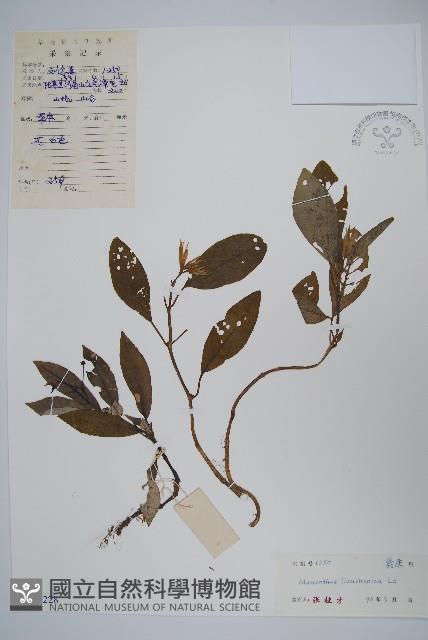 登錄號:S045228藏品圖，第1張