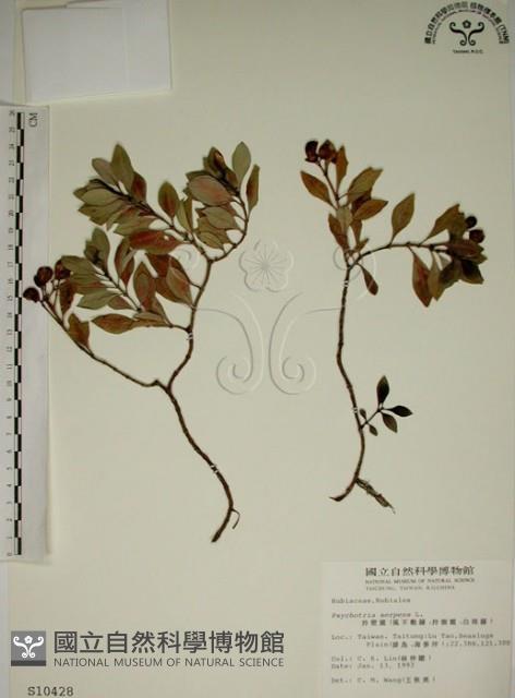 拎壁龍藏品圖，第1張