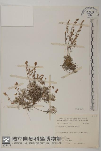 山艾藏品圖，第1張