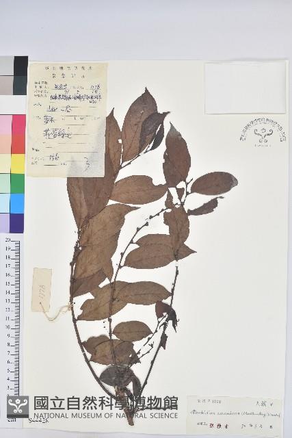 登錄號:S044428藏品圖，第1張