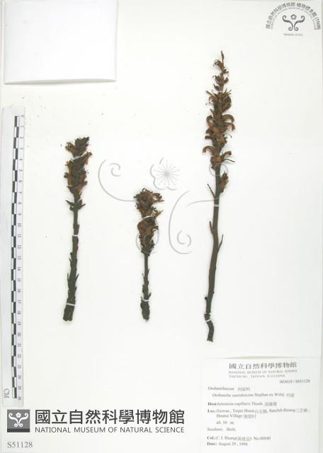 列當藏品圖，第1張