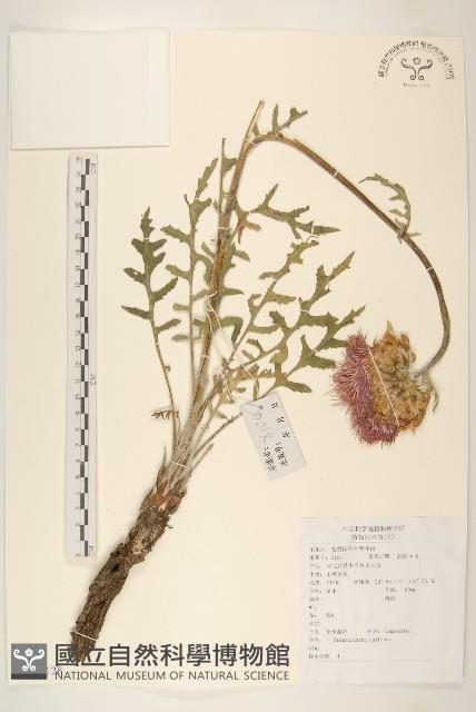 漏蘆藏品圖，第1張