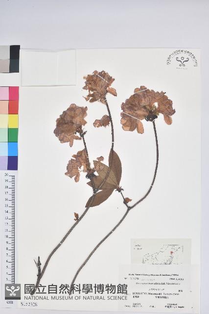 登錄號:S152328藏品圖，第1張