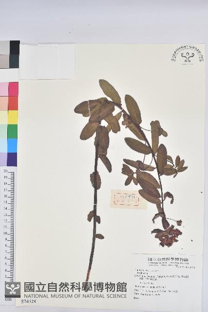 登錄號:S074328藏品圖，第1張