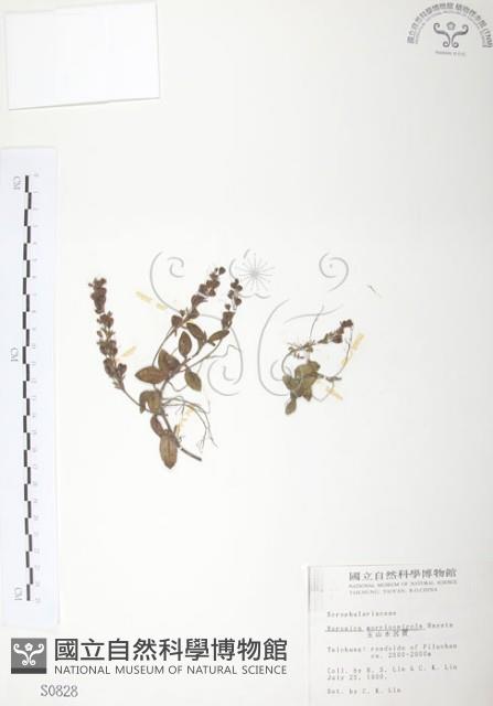 玉山水苦賈藏品圖，第1張