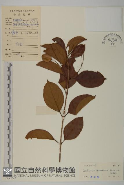 登錄號:S033828藏品圖，第1張