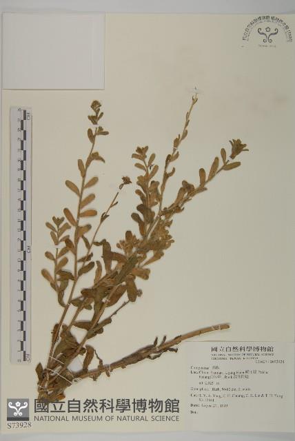 登錄號:S073928藏品圖，第1張