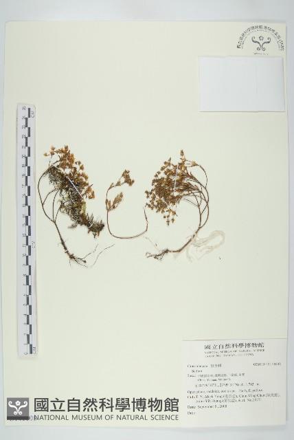 登錄號:S141608藏品圖，第1張