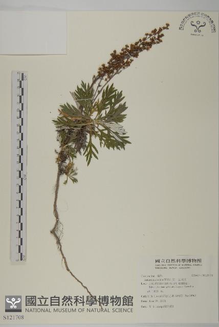 太魯閣艾藏品圖，第1張