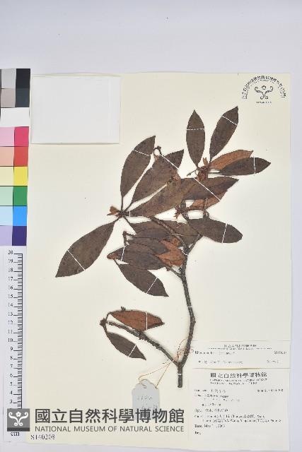 登錄號:S140208藏品圖，第1張