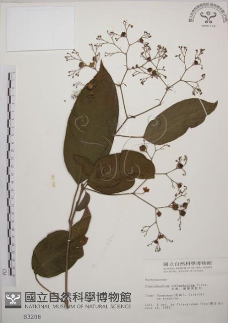 大青藏品圖，第1張