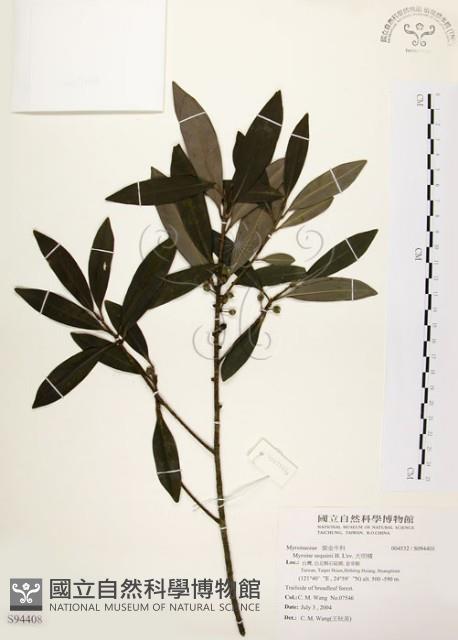 大明橘藏品圖，第1張