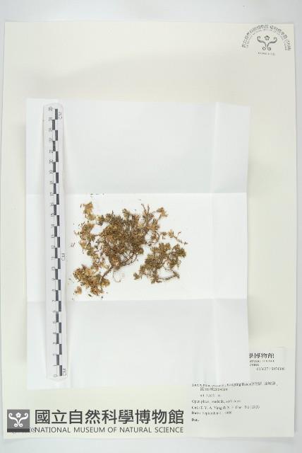 登錄號:S074308藏品圖，第1張