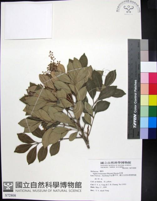 紅柴藏品圖，第1張